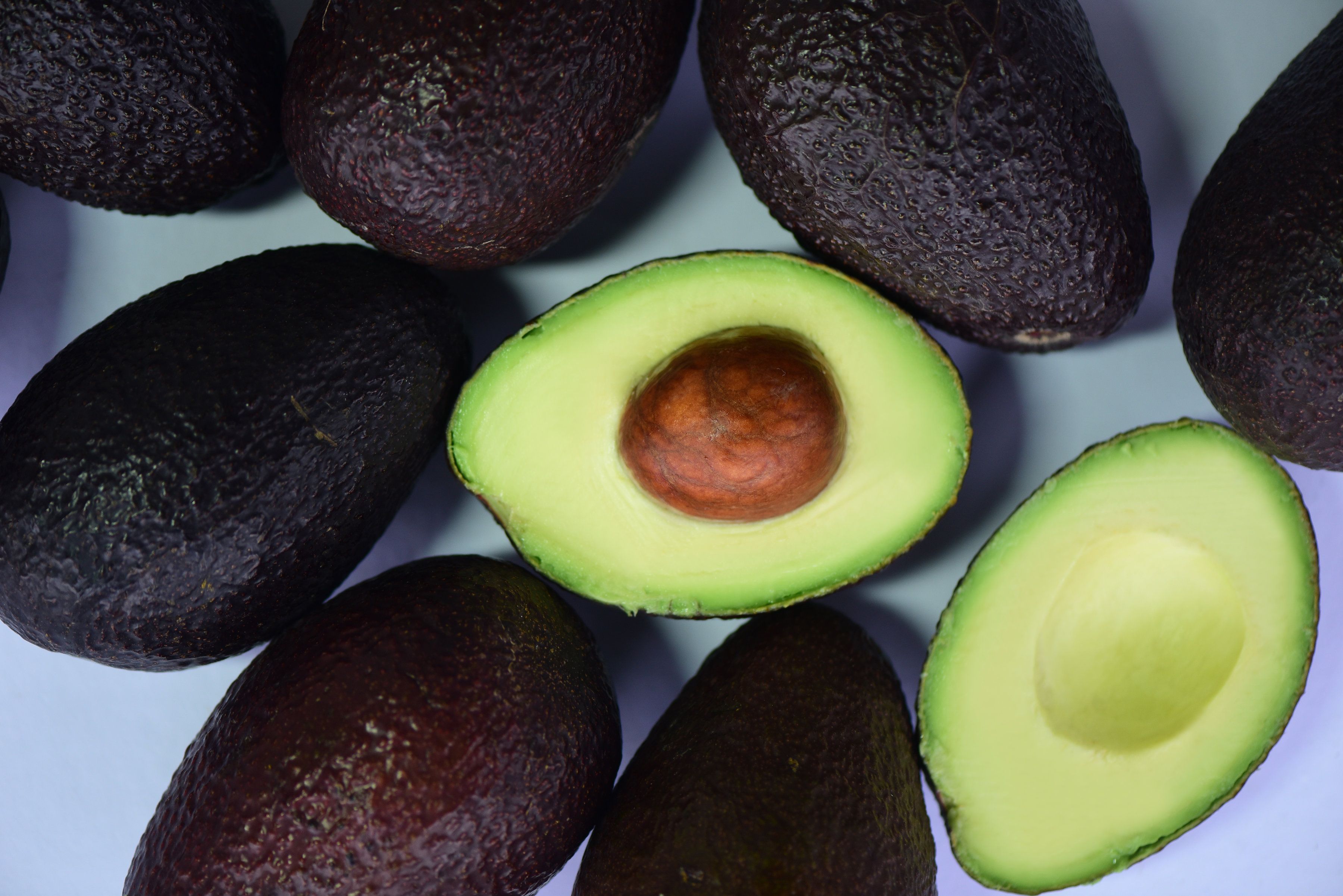 Producción de aguacate se asocia con hasta 59% más extorsiones en municipios de México, revela estudio IBERO