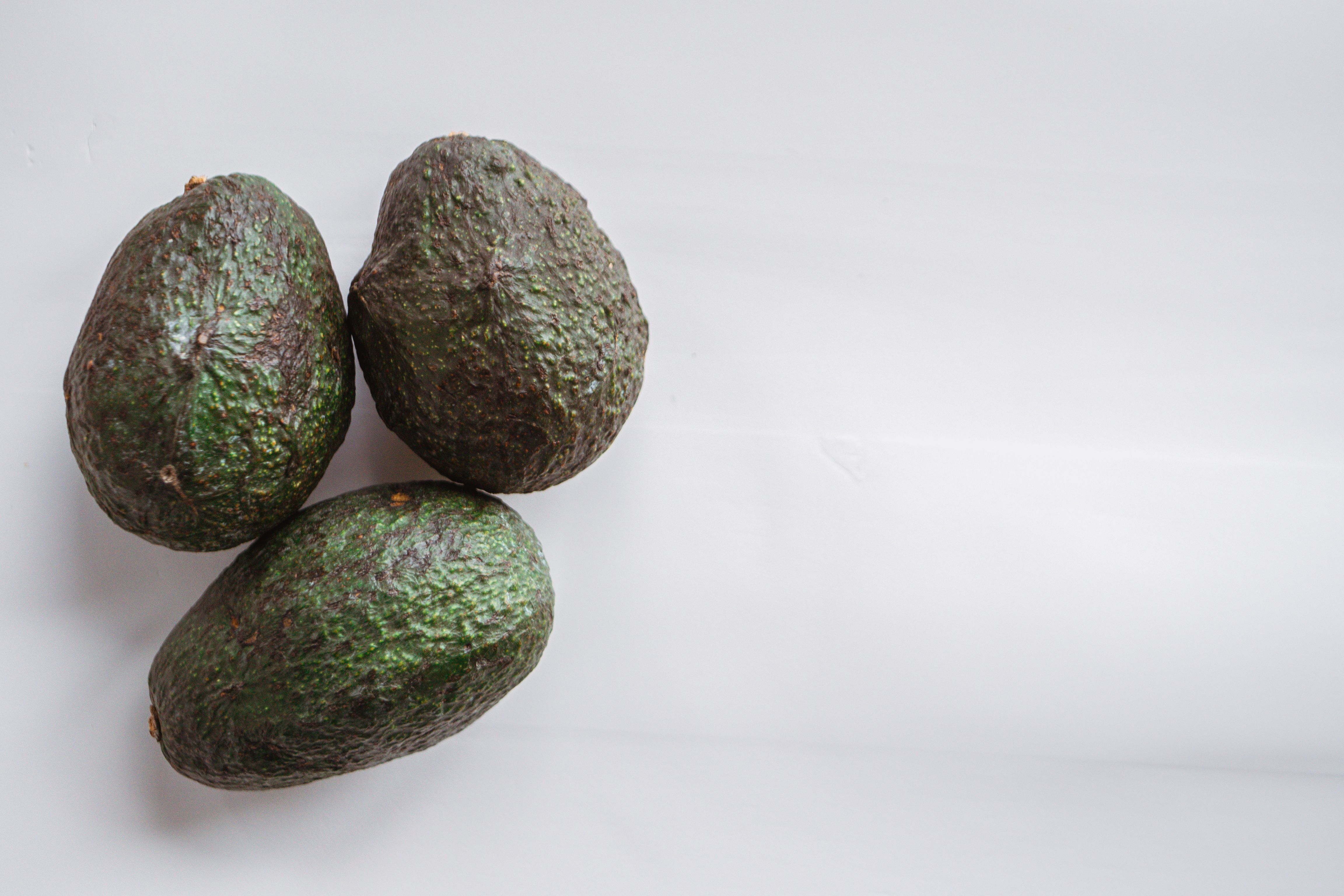 Crisis del aguacate: violencia no sólo frena exportaciones, también puede afectar decisiones de consumidores, dice estudio IBERO