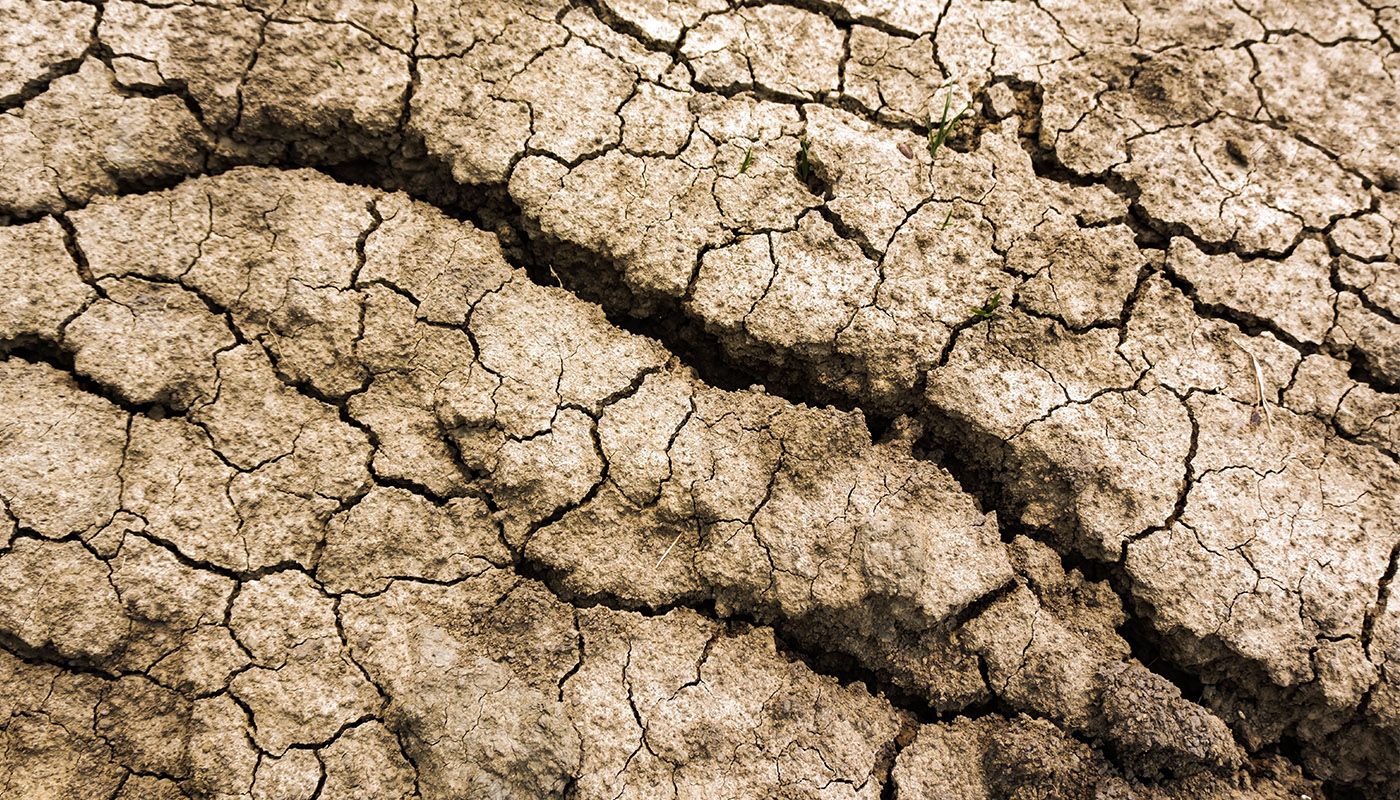 El mundo superará los 1.5 °C de calentamiento global, pero “el futuro es un territorio en disputa”: especialista IBERO