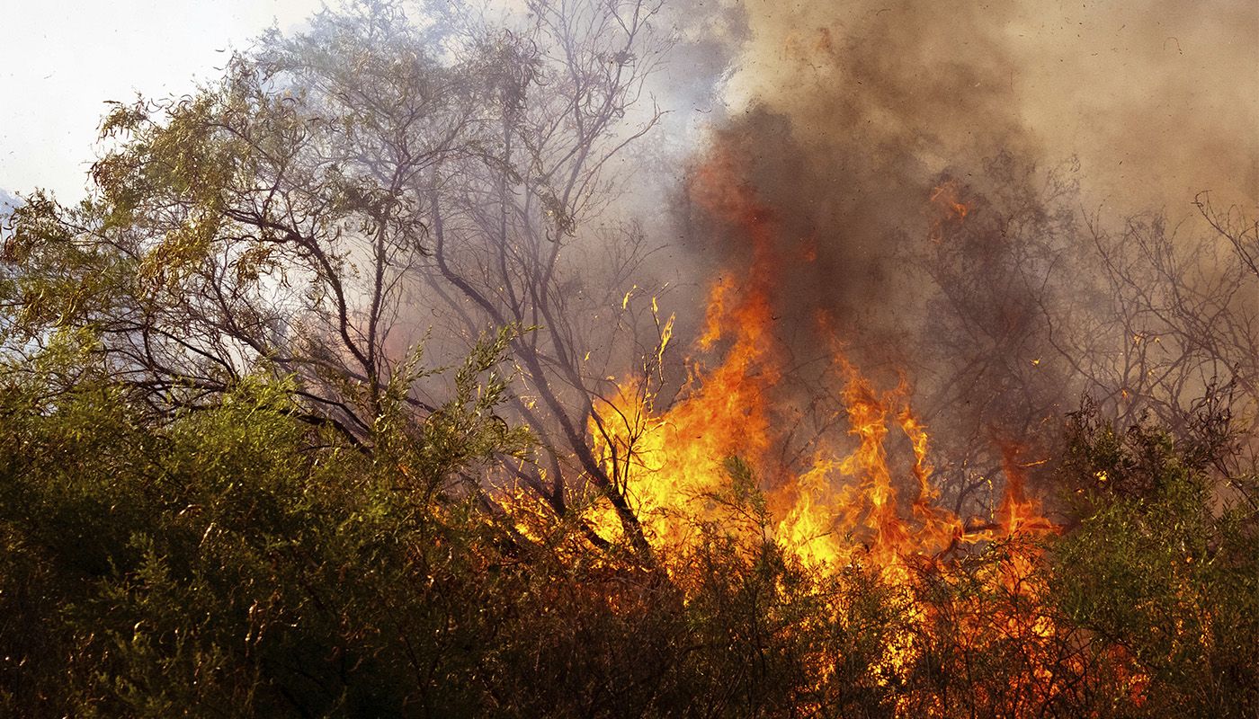 Corrupción y cambio climático agravan la injusticia socioambiental en América Latina, advierte libro AUSJAL