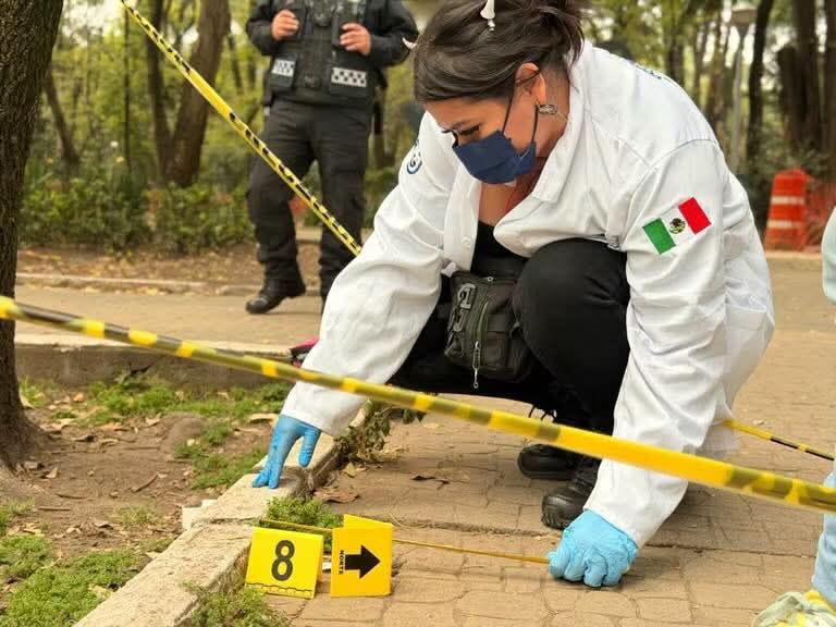 Perros envenenados en la Condesa encienden alerta sobre seguridad de los parques: las personas también podrían estar en riesgo, advierte experto IBERO