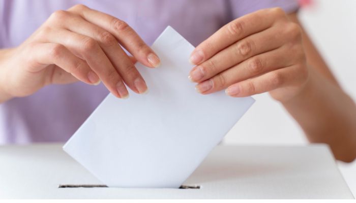 reforma-electoral (1).jpg