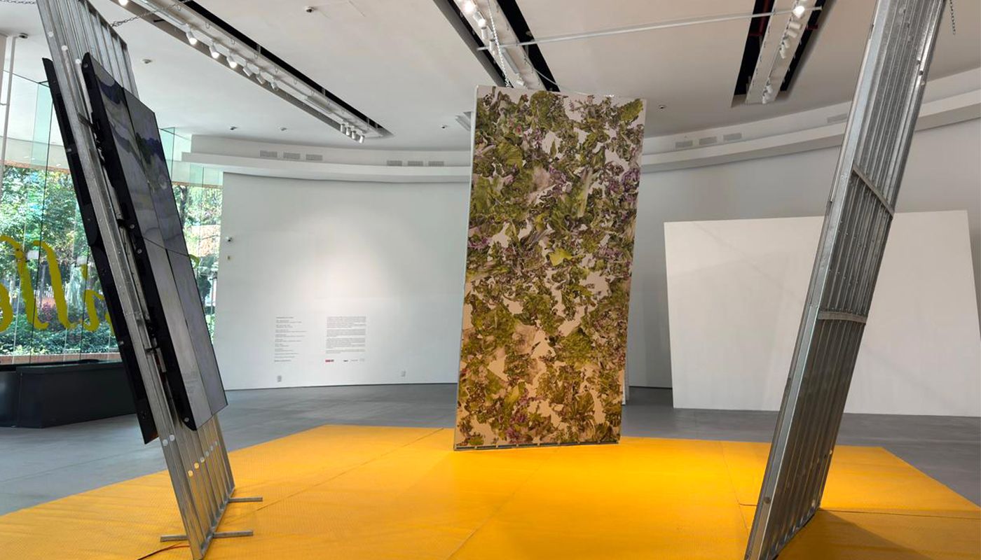 Slow Art Day en la IBERO invita a mirar arte sin prisa con ‘Millefleur’ de Julieta Gil