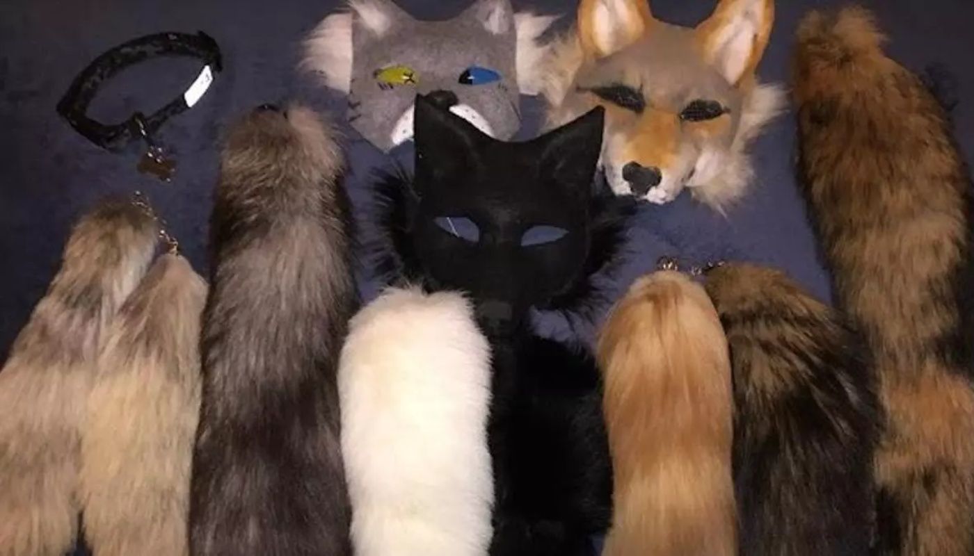 Therians: ¿Juventudes ya no quieren más humanidad?, Académico IBERO responde