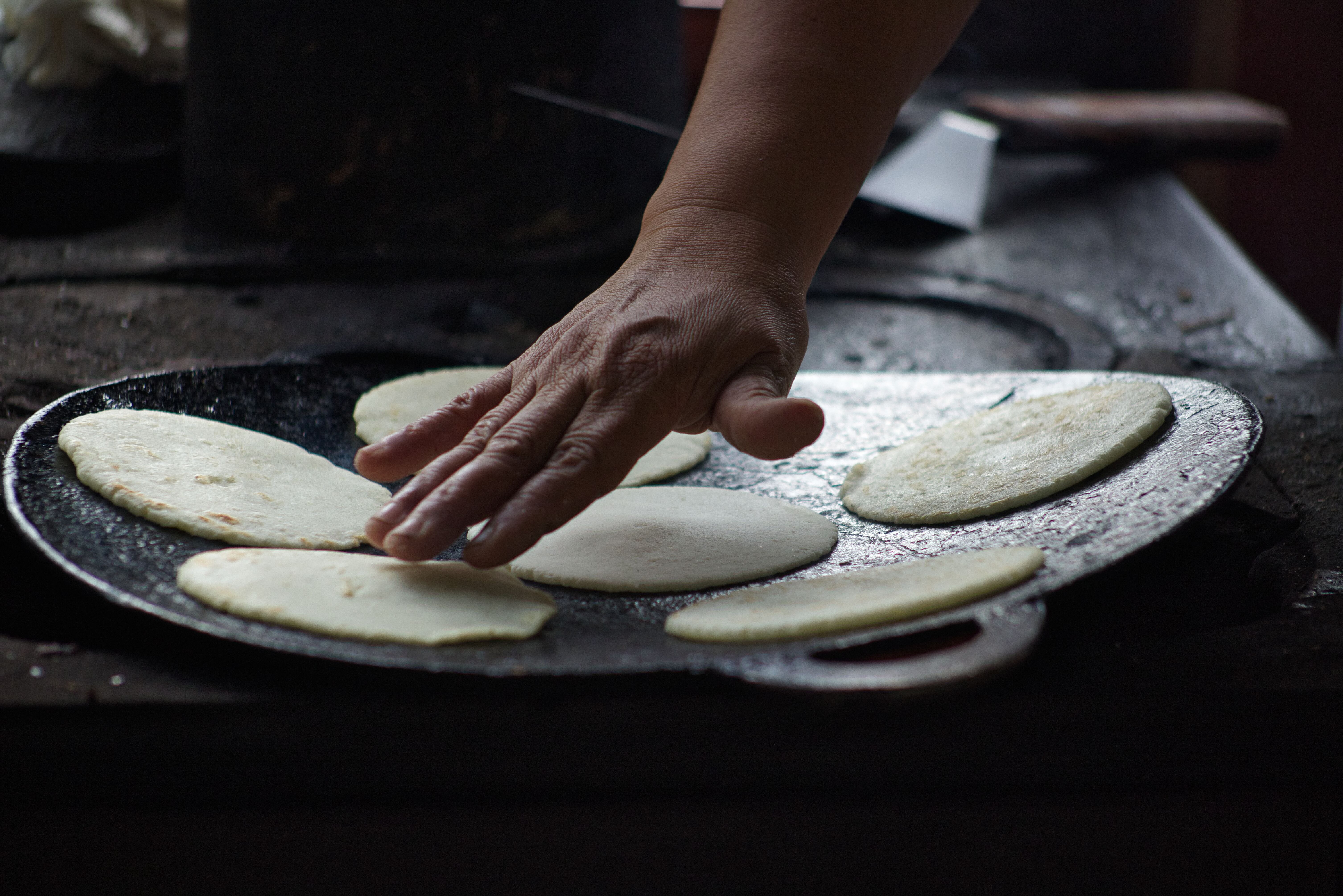 ¿Tortillas más nutritivas y que duren más? Académica IBERO explica cómo la ciencia busca mejorarlas